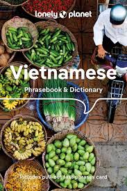 (image for) Vietnamese Phrasebook & Dictionary 9th Ed.