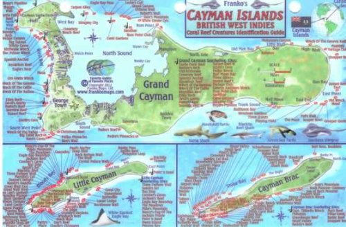 Cayman Islands Fish Card - Franko